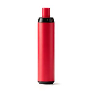 Electronic Cigarette
