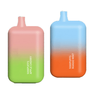 Disposable Vape - EHV23006