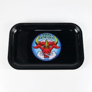 29cm x 19cm Metal Metal Tray with assorted colors & custom logo available - STR20025